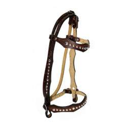 BRIDLE